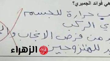 «مستحيل تكون دماغ طفل»…إجابة طالب في الامتحان بالصف الرابع الابتدائي جعلت المصحح يطلب نقله إلى المصحة النفسية