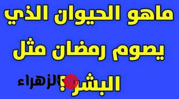 معجزه الاهية … حيوان يصوم شهر رمضان!!! سبحان الله اغرب أسرار عالم الحيوان !!! ظاهرة اغرب من الخيال