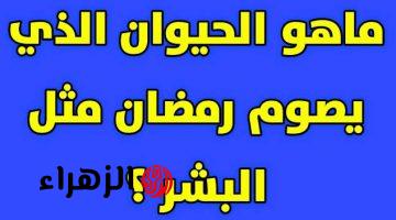 صدق او لا تصدق!!! اكتشف العلماء حيوان يصوم في شهر رمضان مع الانسان سبحان الله!! اغرب من الخيال