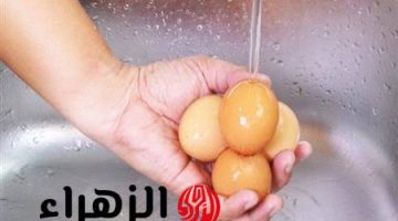 “بتجيبي المرض لعيالك بإيدك”….احذري من غسل البيض بالماء قبل سلقه.. إليكم الطريقة الصحيحة لطهيه!!