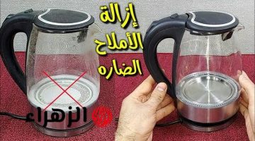 “ماتغيريش جبتلك البديل؟!”… طريقة تنظيف الغلاية الكهربائية من الأملاح والكلس بكل سهولة