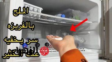 الملح في الثلاجة هيوفر عليكي كتير..حيلة جهنمية هتندهشي من نتائجها!