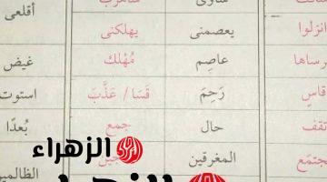 “سؤال يصدم الجميع و99 % من الطلاب لا يسطيعون الاجابة” جمع كلمة “مرساها في اللغة العربية دكتور جامعي يكشف الحل والاجابة تصدم الجميع!! .. السؤال الى هيخليك فى حيره وقلق