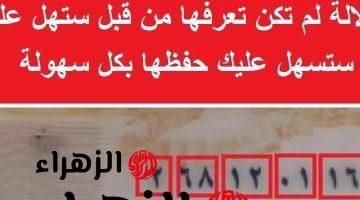 “1% بس اللي يعرفوها“.. لن تصدق ماهي دلالة الـ 14 رقم الخاص في بطاقة الرقم القومي؟! .. أراهنك ان حد قالك المعلومة دي من قبل !!!