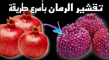 “هتفصص 5 كيلو في دقيقة”…فكرة عبقرية لتفصيص الرومان بسرعة الصاروخ بدون مجهود او تعب