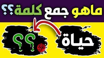 طلاب كتير سقطوا بسببها .. هل تعرف ما هو جمع كلمة «الحياة» في اللغة العربية التي حيرت المعلمين؟.. أتحداك تعرف الحل!!