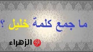 «اتحدى طالب يعرف الإجابة الصحيحة..!!» ماهو جمع كلمه “خليل” في اللغة العربية دكتور جامعي يكشف اللغز اللغوي.. مفاجأة.!!