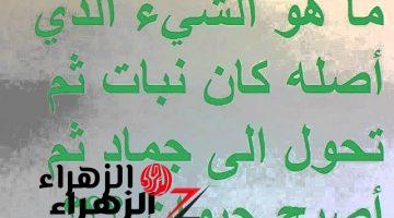 “العالم احتار فيه!!” .. هل تعلم ما هو الشيء الذي كان في بداية خلقة نبات ثم تحول إلى جماد ثم حيوان؟! .. مش هتصدق هو إيه !!!