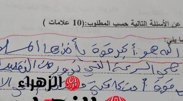 «الوزارة كلها مقلوبة عليه»… إجابة طالب غير متوقعة في ورقة الإمتحان جعلت سيرته علي كل لسان | المعلم مندهش وبيقول إزاي ده حصل!!