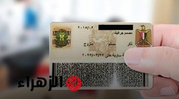 بطاقتك هتختفي من قدامك من النهارده!!.. الحكومة تعلن عن إيقاف بطاقات الرقم القومي لهؤلاء المواطنين.. وقت الهزار راح خلاص!!