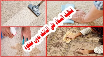 استقبلي شهر رمضان بسجاد نظيف.. طريقة تنظيف السجاد على الناشف في المنزل بسهولة هينظف ويرجع جديد