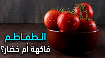 سؤال حير الناس كلها.. هل الطماطم خضار أم فاكهة؟ أخيراً عرفنا