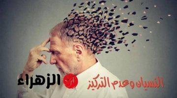 حل سحري وعبقري لمشكلة النسيان .. ستصبح ذاكرتك أقوى 10 مرات وتزيد قدرتك على الذكاء الخارق .. اعرفها فوراً