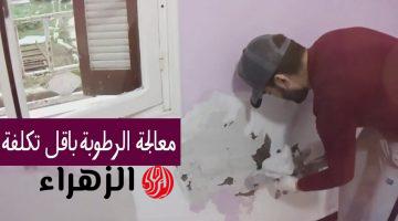 بمكون سحري.. طريقة التخلص من الرطوبة في الحوائط والجدران نهائيا بطريقة سهلة وبدون تكاليف