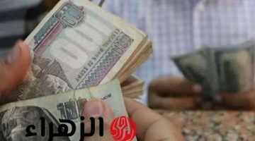 صرف مرتبات 3 أشهر للموظفين.. بيان عاجل من المالية