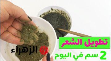 تطويل الشعر 2 سم.. الخلطة السريه الهندية تطويل وتكثيف جنوني للشعر القصير ووقف التساقط نهائيا