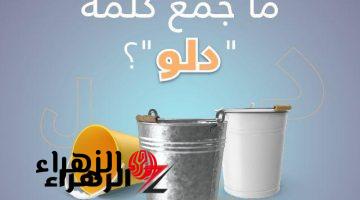 آلاف الطلاب سقطو بسببها!! .. ما هو جمع كلمة دلو في اللغة العربية؟ 1% بس عارفين الإجابة .. لغز صعب محدش عرف يحلها