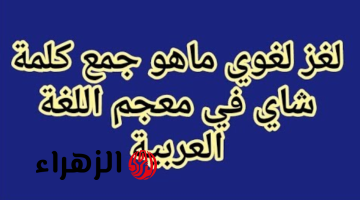 “لغز لغوي حير الجميع!”.. ماهو “جمع كلمة شاي”؟ السؤال الذي عجز العلماء عن اجابته| مش هتخطر علي بالك!!