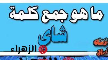 “سؤال جنن طلاب الثانوية العامة” … هل تعرف ماهو جمع كلمة شاي في قاموس اللغة العربية؟!! .. اعرف الإجابة الصحيحة قبل أي حد !!!
