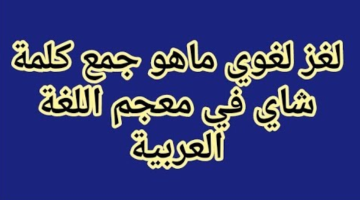 عمالقة اللغة العربية.. ما هو جمع شاي؟ لا تتسرع الأغلب سيخطئ