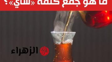 “فضيحة تهز الطلاب”… جمع كلمة “شاي” في امتحان الثانوية يحرج الملايين.. هل هتكون الـ1% اللي يقدروا يحلوه؟