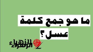 “الطلاب ضاع وقتهم في الامتحان بسبب الكلمة دي!”…هل تعرف جمع “عسل” في اللغة العربية؟ هعرفك على الجمع الصحيح!