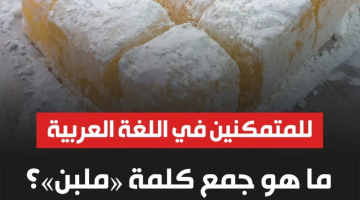 “السؤال اللي شاغل بال الكل وحيرهم!!”.. ما هو جمع كلمة ملبن؟.. للخبراء في اللغة العربية فقط