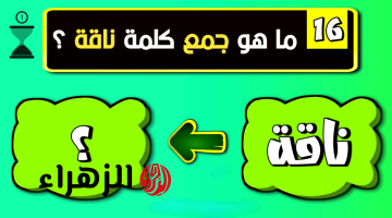 اتحداك تعرف الحل! .. ما هو جمع كلمة ناقة في اللغة العربية| 99% من الناس مايعرفوش الإجابة .. عجز عن حله عباقرة اللغة