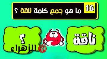 أتحداك تعرف الحل! .. ما هو جمع كلمة ناقة في اللغة العربية| 99% من الناس مايعرفوش الإجابة .. عجز عن حله عباقرة اللغة