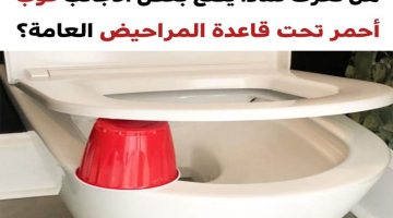 معلومة هتعرفها لأول مرة.. سر الكوب الأحمر تحت مقعد المرحاض