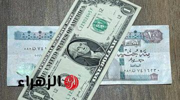 الأخضر بكام النهاردة .. سعر الدولار اليوم الاثنين 20 يناير 2025 | تحديث يومي