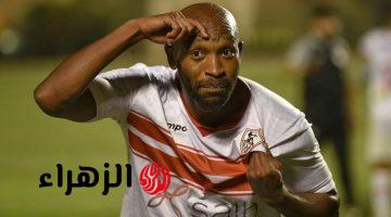 «كواليس خطيرة داخل الزمالك»… هل شيكابالا السبب في رحيل جروس؟.. «وراهم العين الحمرا»