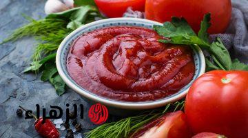 بمكونات بسيطة وصحي 100%.. طريقة عمل الكاتشب فى المنزل | هيطلع أحسن من الجاهز