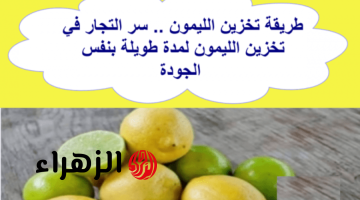 عرفت السر من حماتي!!..4 خطوات هتعمليها وهتخزني بيها الليمون من السنه للسنه ويفضل فريش معاكي..اليكي الطريقة!!