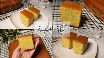 طريقة عمل البسيسة المصرية على أصولها بكل الأسرار والتكات وبطعم وهم