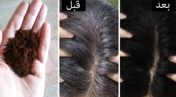 بلاش صبغة عشان هتدمر الشعر.. غطي شعرك الأبيض بوصفة طبيعية 100% وبمكونات من مطبخك