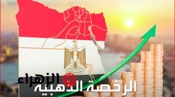 كيفية الحصول على الرخصة الذهبية في مصر.. اعرف الشروط