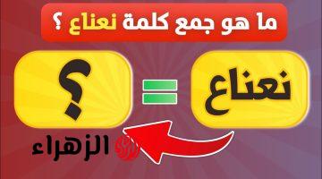 الإجابة الصحيحة صادمة.. السؤال اللي بيخلي الطلاب يتجننوا ما هو جمع كلمة “نعناع”..99% من الطلاب مش قادرين يجاوبوا!!