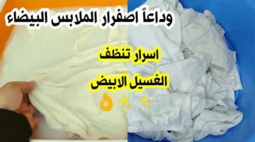 اختراع محدش يعرفه.. حطي 3 حبات من الأسبرين في الغسالة ومش هتصدقي النتيجة المذهلة اللي هتحصل