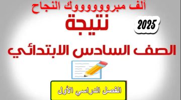 مبروك النجاح.. نتيجة الصف السادس الابتدائي 2025 برقم الجلوس والاسم عبر eduserv.cairo.gov.eg بوابه التعليم الأساسي