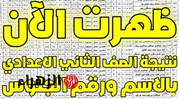 ظهرت..رابط مباشر نتيجة الشهادة الإعدادية 2025 الفصل الأول محافظة القاهرة