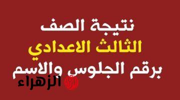 نسبة النجاح في العالي.. ظهور نتيجة الإعدادية في هذه المحافظة اليوم.. هل هي محافظتك؟؟