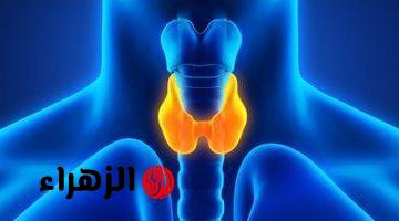 هاشيموتو.. مرض مناعى ذاتى يصيب الغدة الدرقية والسيدات الأكثر عرضة لمضاعفاته