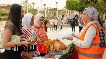 وزيرة التضامن تستعرض جهود صندوق مكافحة الإدمان بالمدارس والجامعات