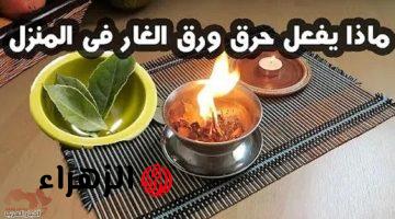 كل ده يطلع من الورقه دي!!… لن تصدق ماذا يحدث عند حرق ورق الغار في المنزل كل ليلة لمدة أسبوع كامل؟؟ كلمة معجزة قليل على اللي هيحصل!