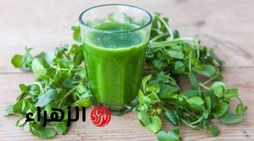 “مطلعش للسلطه وبس”… ابرز فوائد البقدونس للبشره عند شربه على الصباح لمدة 4 ايام… طريقة الإستخدام!!