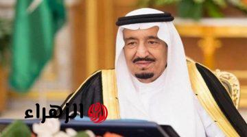 “زلزال علمي يهز السعودية والعالم”.. العثور على بقايا مخلوقات غامضة في تبوك لم يسبق لها مثيل.. “أقوى من الديناصورات بآلاف السنين”!!