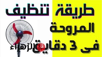 “متقوليش لسلفتك عليها”…طريقة تنظيف المراوح من التراب والغبار بمكون ميخطرش على بالك بدون تعب أو مجهود”!!