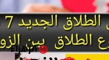 “اللي طلق فلت”.. 7 شروط وضعتها الحكومة لوقع الطلاق بين الزوجين طبقاً لقانون الأحوال الشخصية الجديد2024