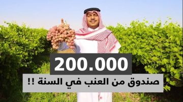 “مزارع سعودي كشف السر”؟؟ .. مزرعة تنجح في انتاج قرابة 200.000 صندوق من العنب في السعودية بهذه الطريقة السحرية